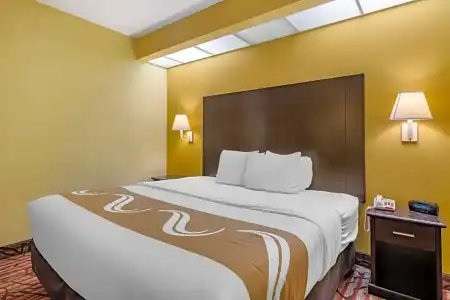 Rodeway Inn Clearwater - Central - 52