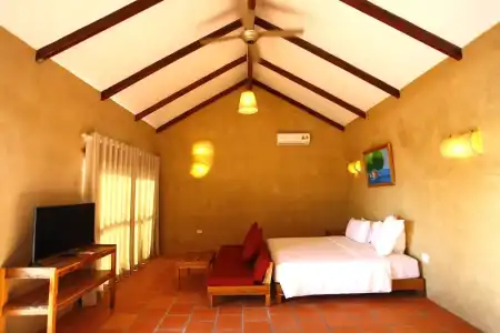 Daisy Resort - 70