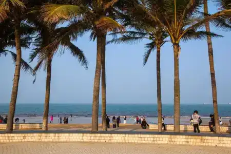 Haikou Baofa Shengyi - 15