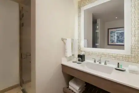 The Westin Puntacana Resort & Club - 9