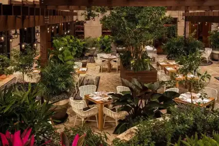 The Ritz-Carlton Coconut Grove, - 48