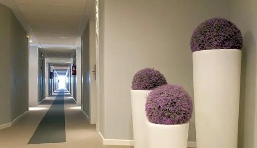 Estival Centurion Playa - 75