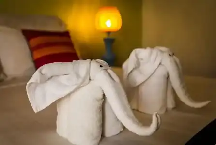 Baby Elephant Boutique - 58