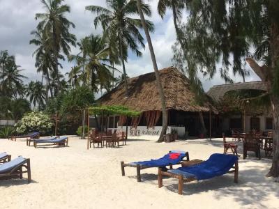 Simba Beach Zanzibar - 11