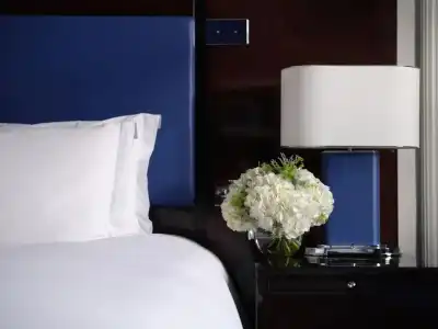 Sofitel London St James - 82