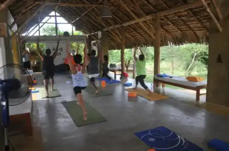 Back of beyond -  Wellness Retreat - 43