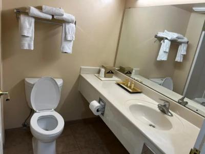 Comfort Inn & Suites Madison East Interstate I-90 - 38