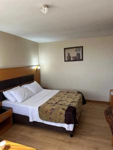 Pinar Elite - 55