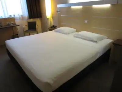 Puccini Milan, Tapestry Collection by Hilton - 11