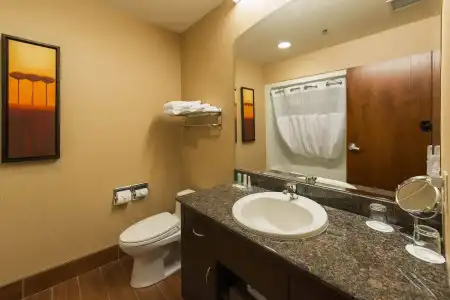 Quality Inn & Suites Levis - 7