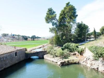 Molí de l'Escala - 46