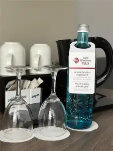 Best Western Plus Steinsgarten - 69