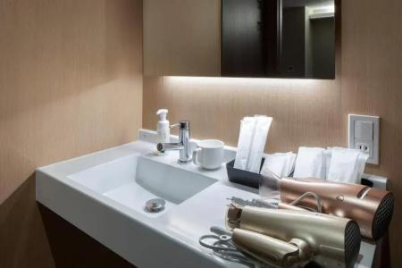 Randor Residence Hiroshima Suites - 64