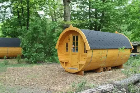 Azur Waldcamping Auwaldsee - 29