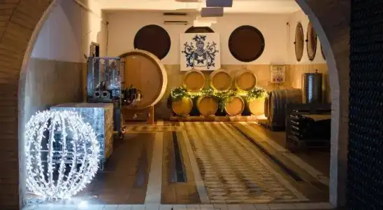 Agriturismo Mas dei Chini - 16