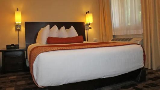 The Zen Palo Alto - 56