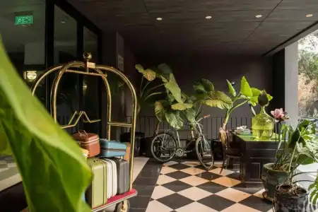 Eco Boutique Bidasoa - 37