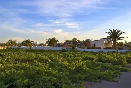 Alafouzos Studios - 22