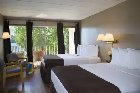 Delton Oaks Resort - 107