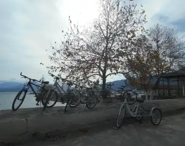 Lale Pansiyon - 15