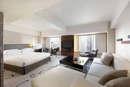 Hilton Tokyo - 53