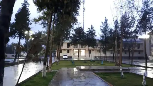 Gisar Asia - 10
