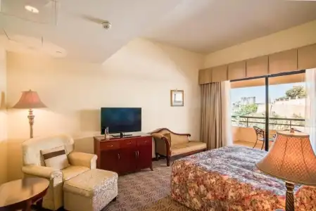 Grand Excelsior - 41