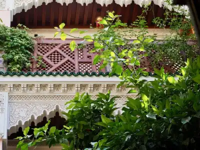 Riad TOYOUR - 27