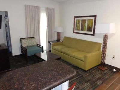 MONTREAL SUITES ORLANDO by IHG - 68