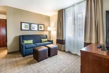 Comfort Suites at Par 4 Resort - 55