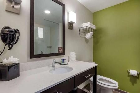 Sleep Inn & Suites Tampa South - 9