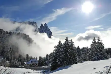 ABINEA Dolomiti Romantic Spa - 17