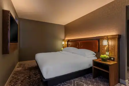 Hyatt Centric The Liberties Dublin - 3
