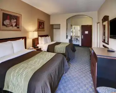 Quality Inn & Suites Irving DFW Airport South - 73