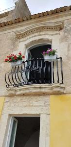 Terra del sole Ibla - 230