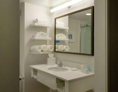 Hampton Inn Green Bay Downtown - 52