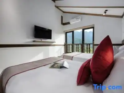 Sapa Sky - 100