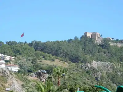 Aysev - 32