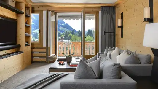 Park Gstaad - 36