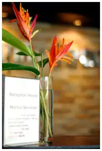 Marina Beach Resort - 29