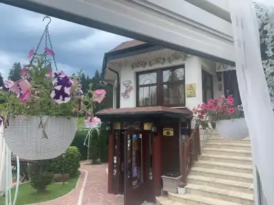 Villa Alpin - 11