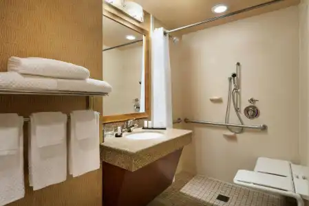 Embassy Suites by Hilton E Peoria Riverfront Conf Center - 8