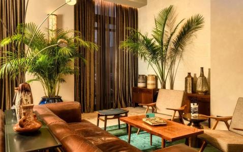 Brown Mamilla - 7