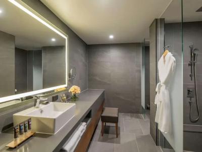 Novotel Ambassador Seoul Dongdaemuns & Residences - 75