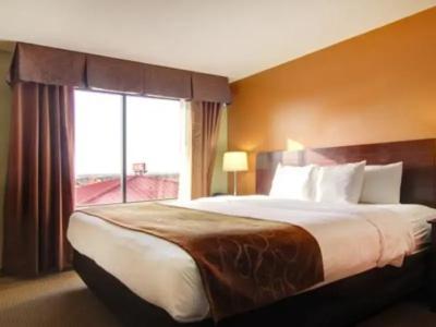 Comfort Suites El Paso West - 50