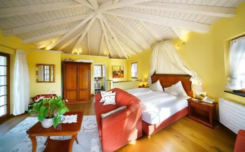 Rebstock Durbach - 77