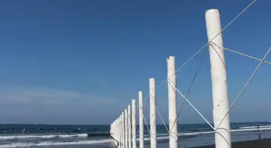 Laguna - 13