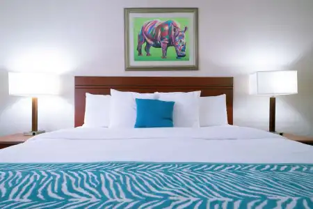 Comfort Inn at the Zoo - 2