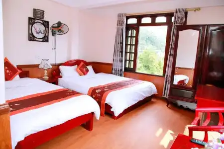 Sapa Mimosa - 29