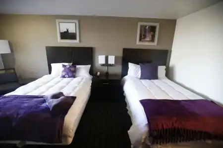 The Grand Canyon University - 2
